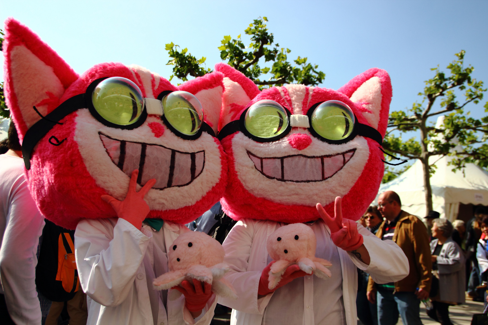 Katzenwesen beim Japantag 2014