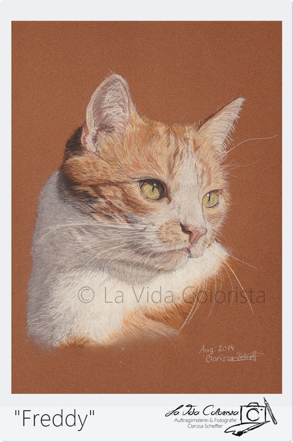 Katzenzeichnung Foto & Bild | tiere, haustiere, katzen Bilder auf