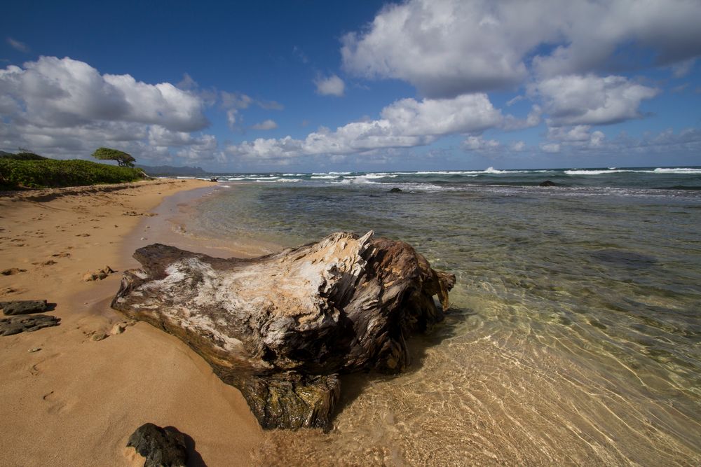 Kauai