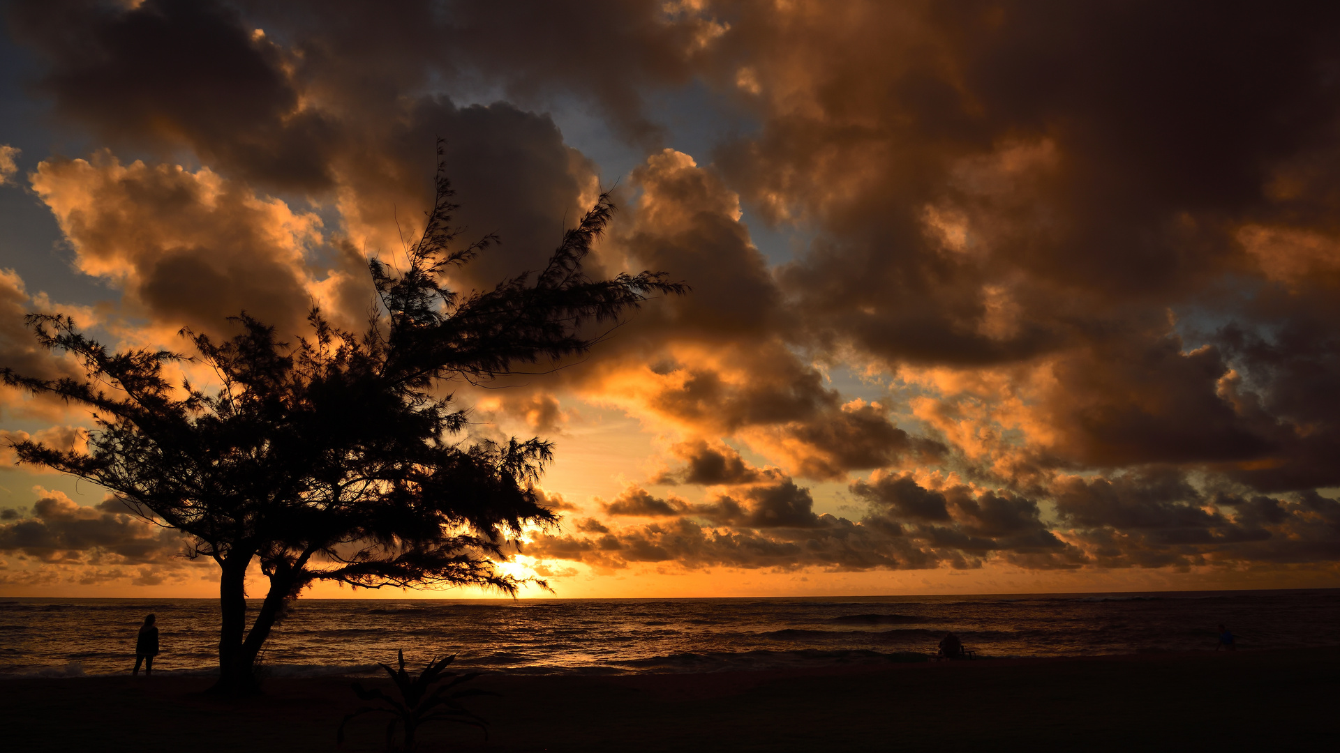 Kauai