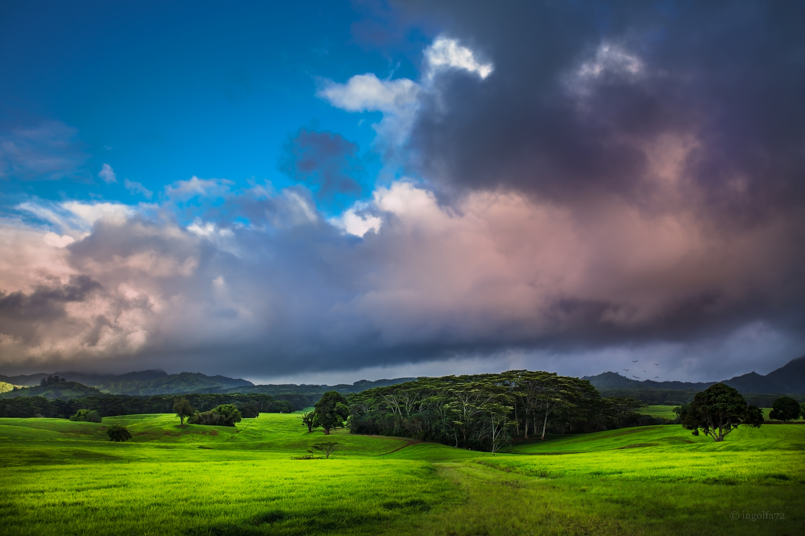 "Kaua'i- Jurassic-Range"