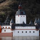 Kaub im Mittelrheintal - Die Burg Pfalzgrafenstein beim Bad im Hochwasser