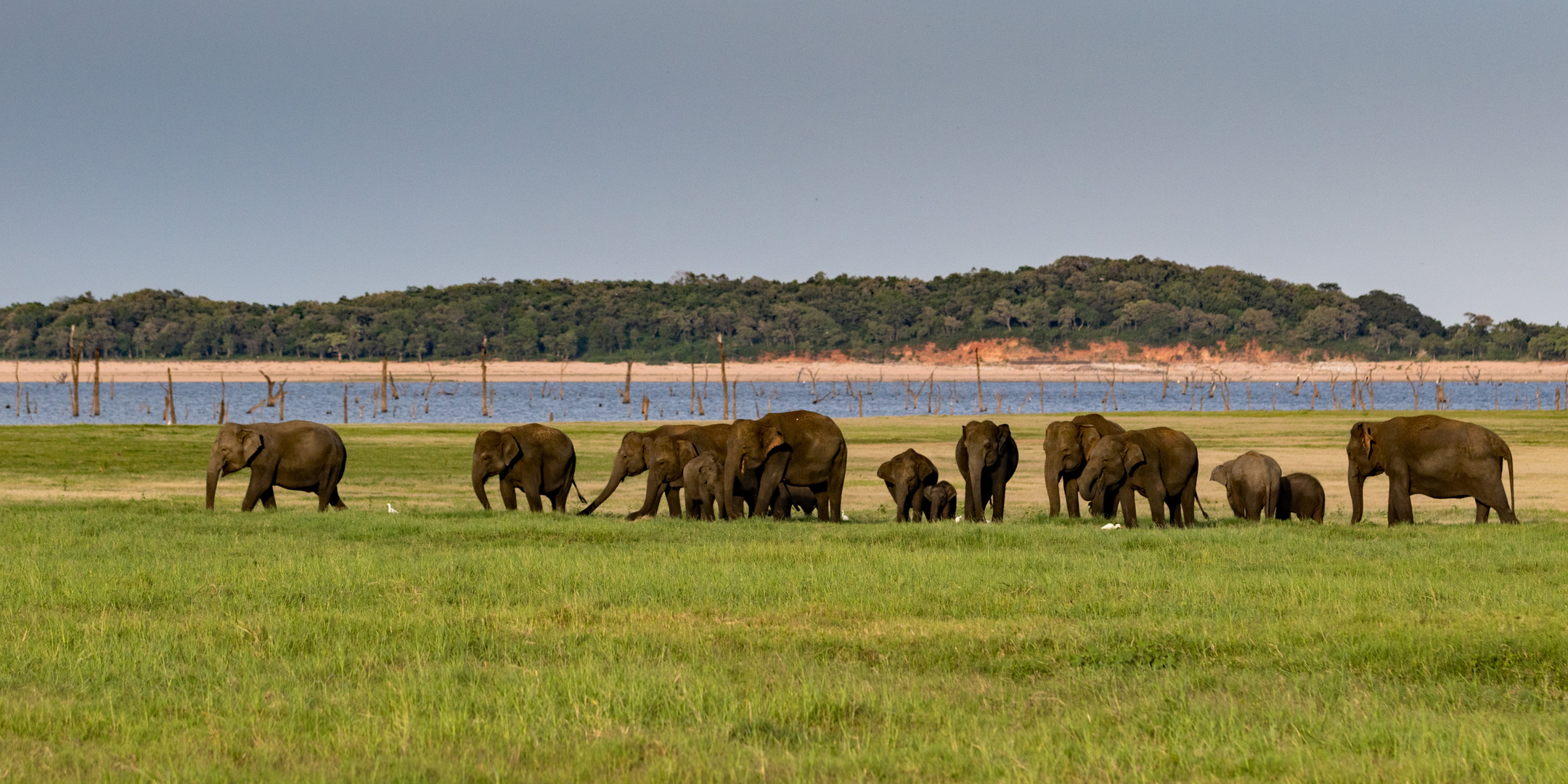 kaudulla national park