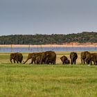 kaudulla national park