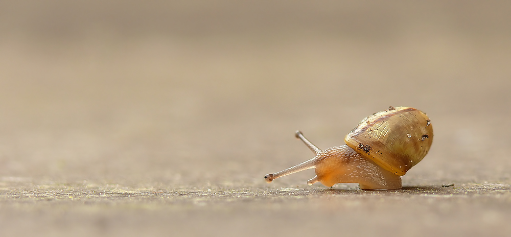 kaum aus den Windeln...und schon hinaus in die weite Welt von gerwomany 