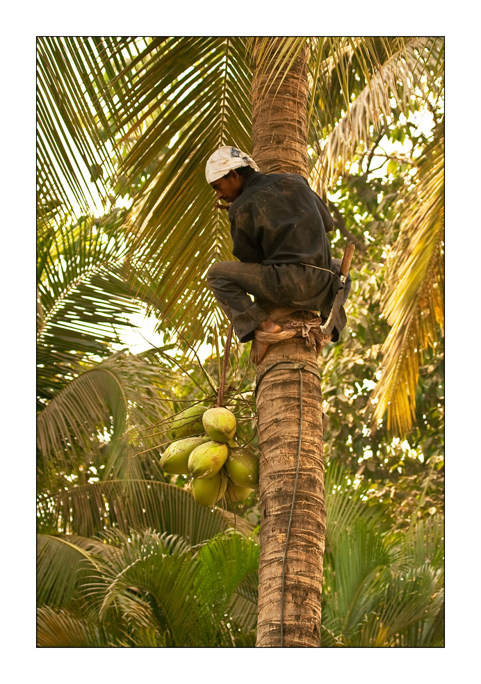 Kaum den Pina Colada bestellt....