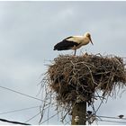 Kaum in Bulgarien....