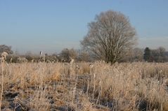 kaum noch Schnee , dafür klirrende Kälte