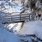 Kaum zu finden war diese Brücke