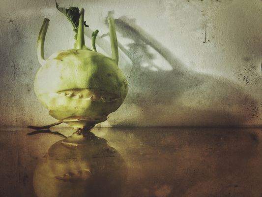 Kaum zu glauben…..