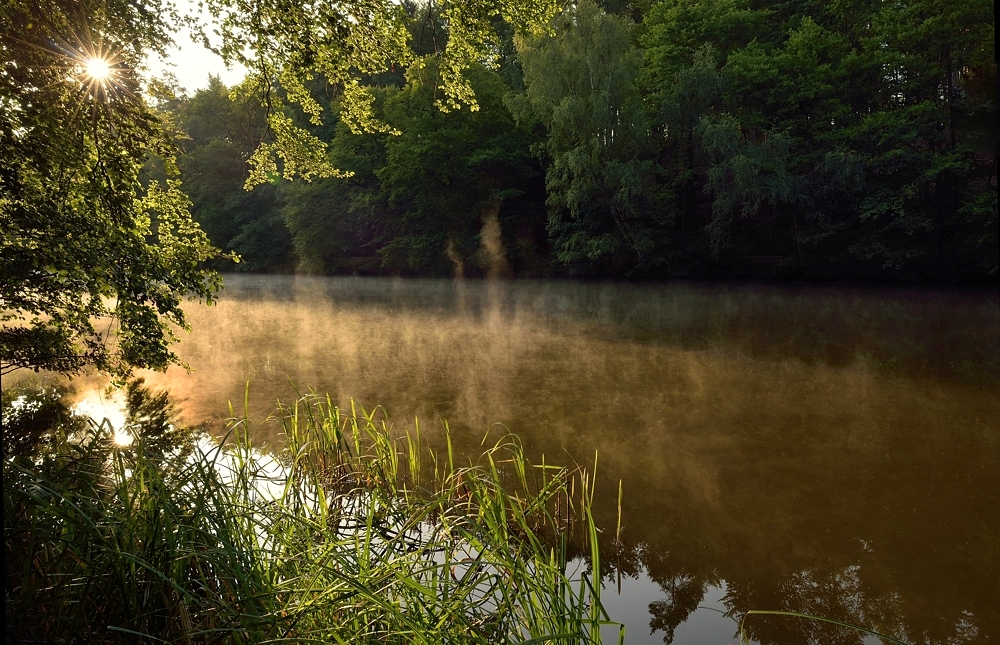 Kaum zu glauben, es ist Sommer, 7 Grad waren es heute Morgen am Blechhammerweiher, aber...