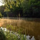 Kaum zu glauben, es ist Sommer, 7 Grad waren es heute Morgen am Blechhammerweiher, aber...