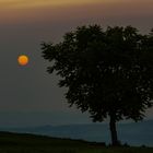 Kaum zu glauben: Rauch der Waldbrände von Kanada