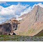 Kaunertal Gletscher