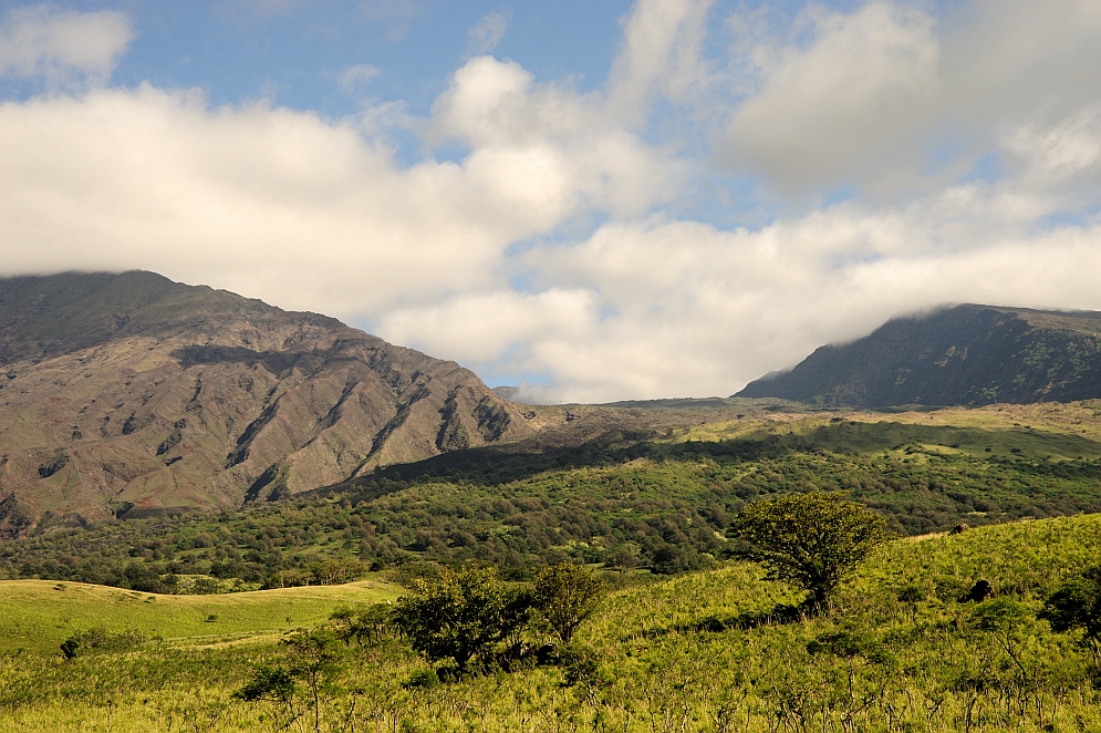 Kaupo Gap