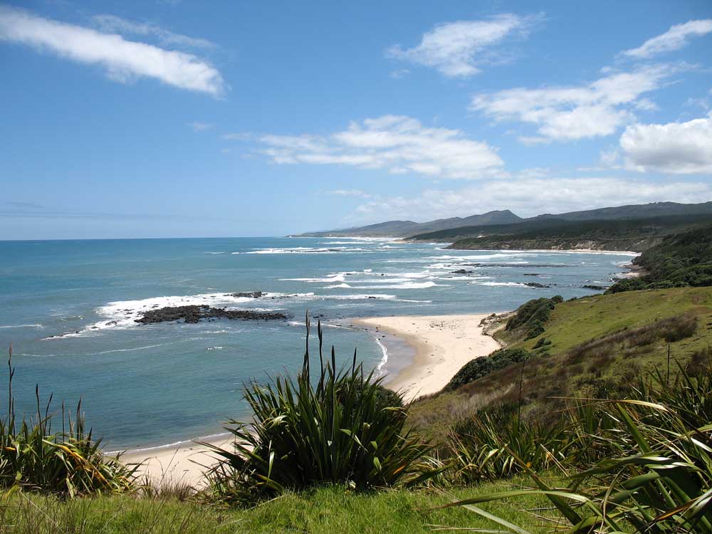 Kauri Coast