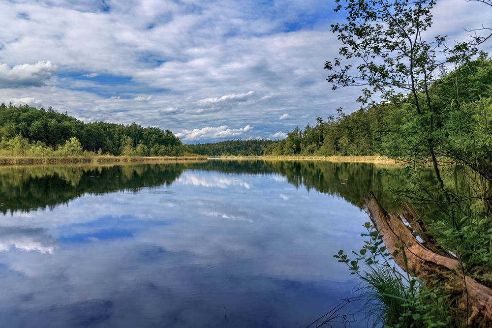 Kautsee