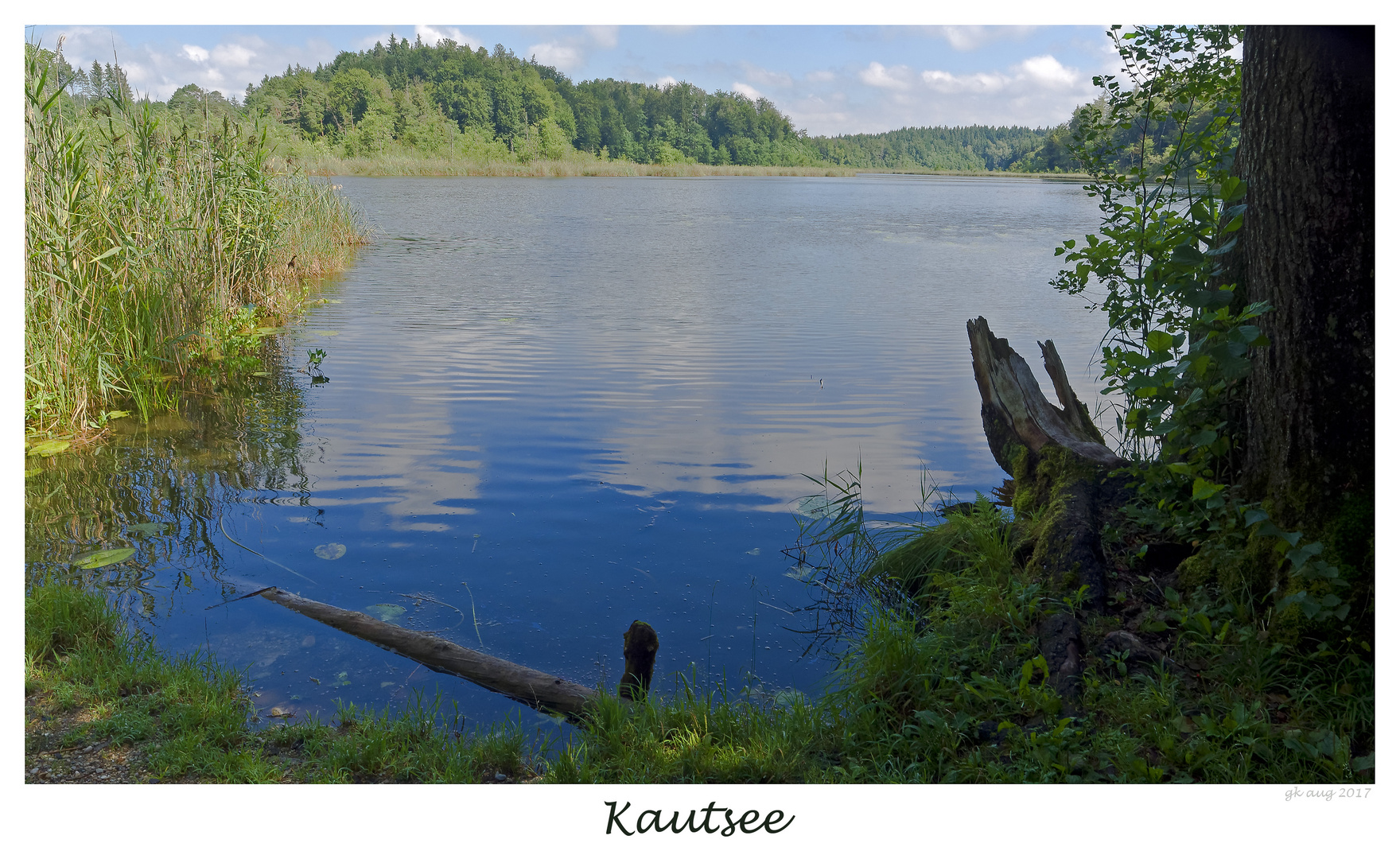 Kautsee