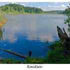 Kautsee