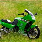 Kawasaki GPX 600 R "Team green" 2