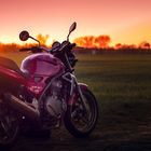 Kawasaki im Sonnenuntergang