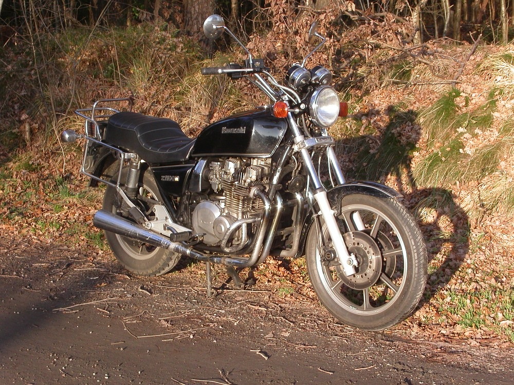 Kawasaki im Wald