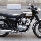 Kawasaki W 800