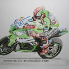 Kawasaki ZX 10R mit Fahrer Tom Sykes. 