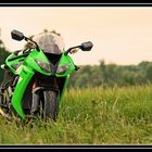 Kawasaki ZX10R-Modell 2009