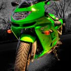 Kawasaki ZX9R