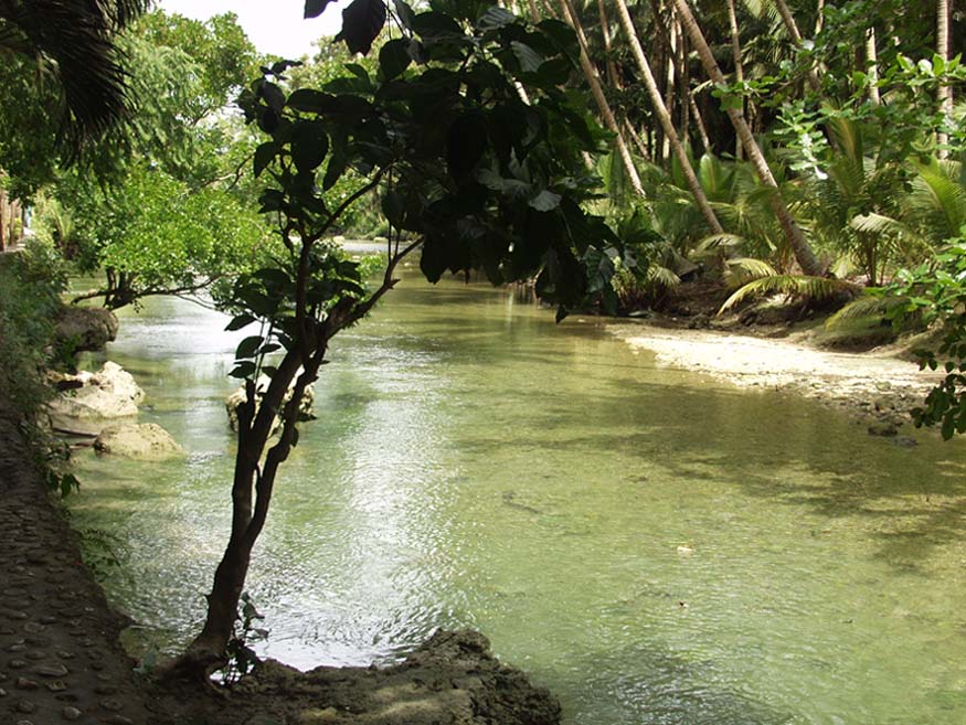 Kawasan Falls Naturschutzgebiet