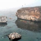 Kayakers at Pelican Islets