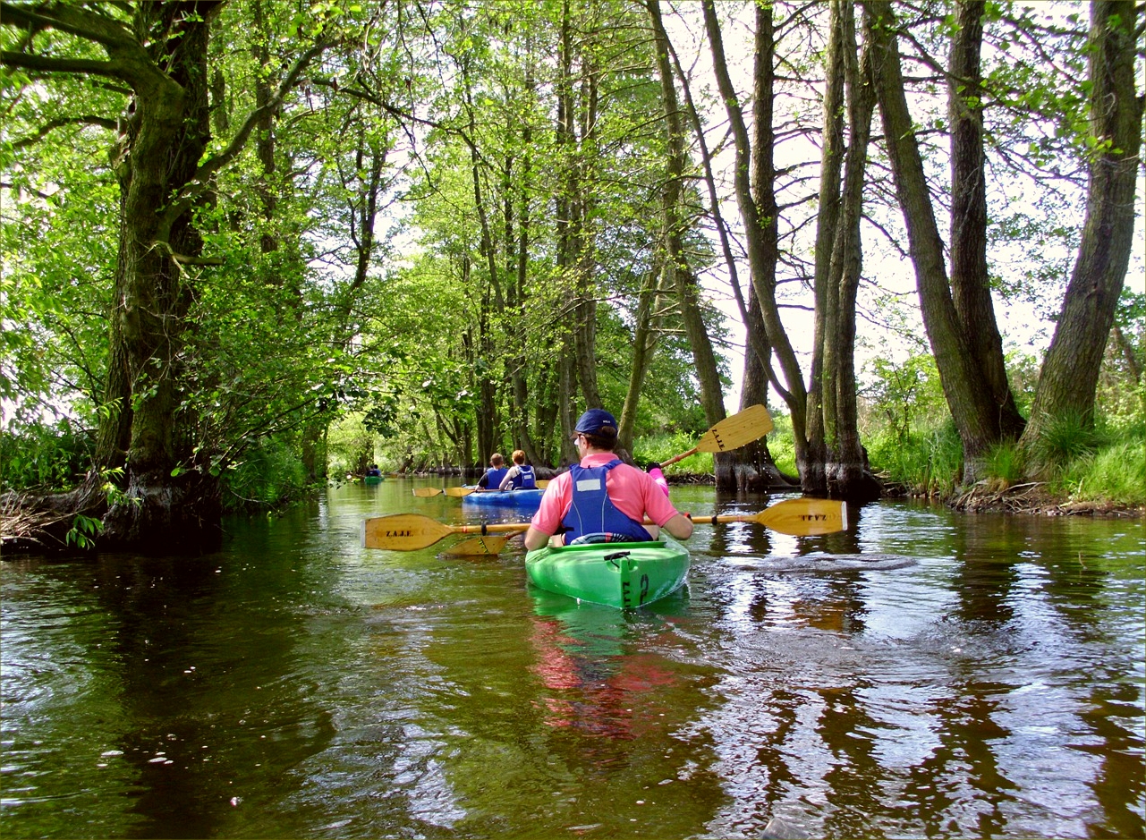 Kayaking