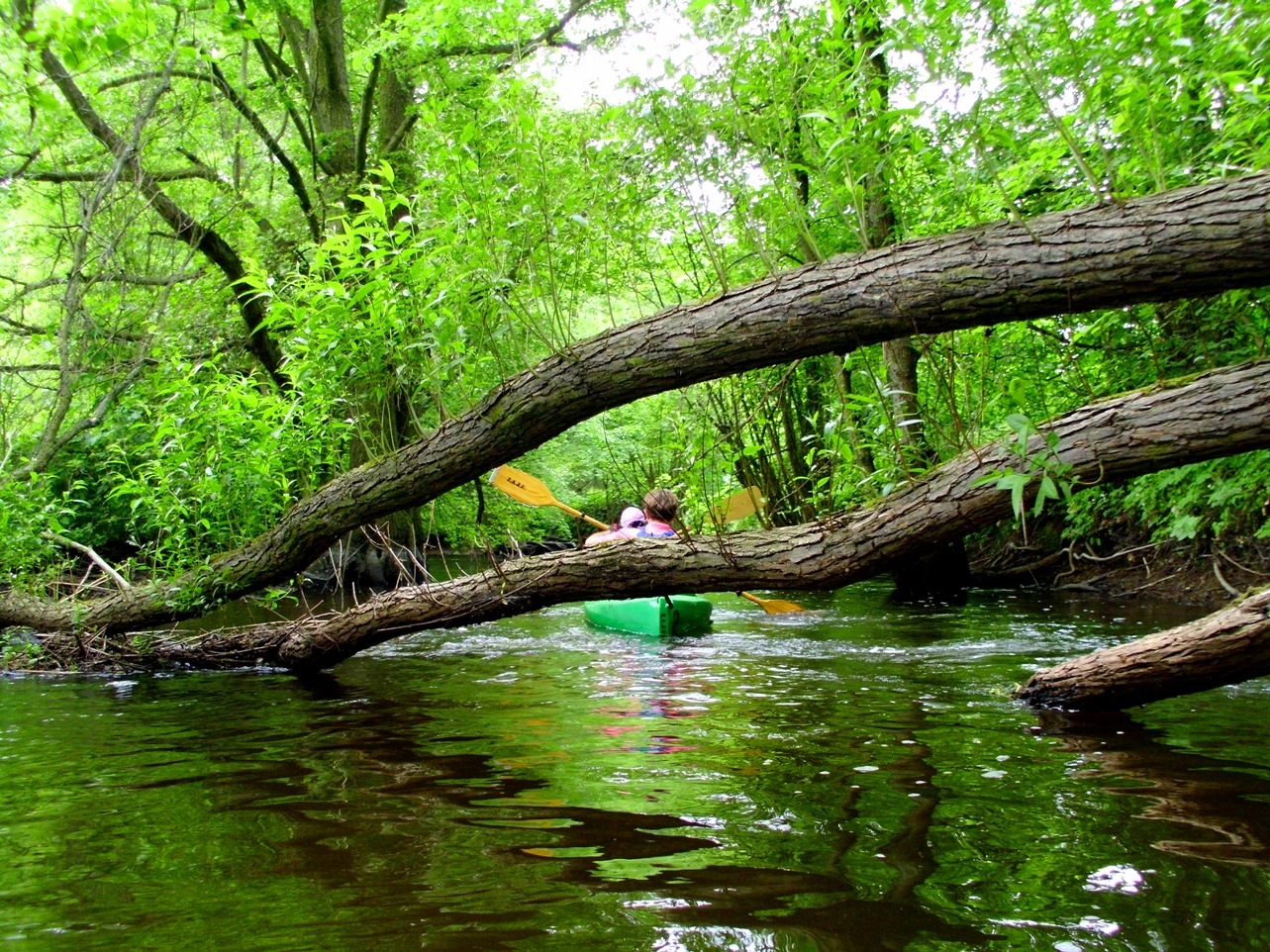 Kayaking in Mysliborskie region, river Mysla