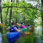 Kayaking on Mysla river