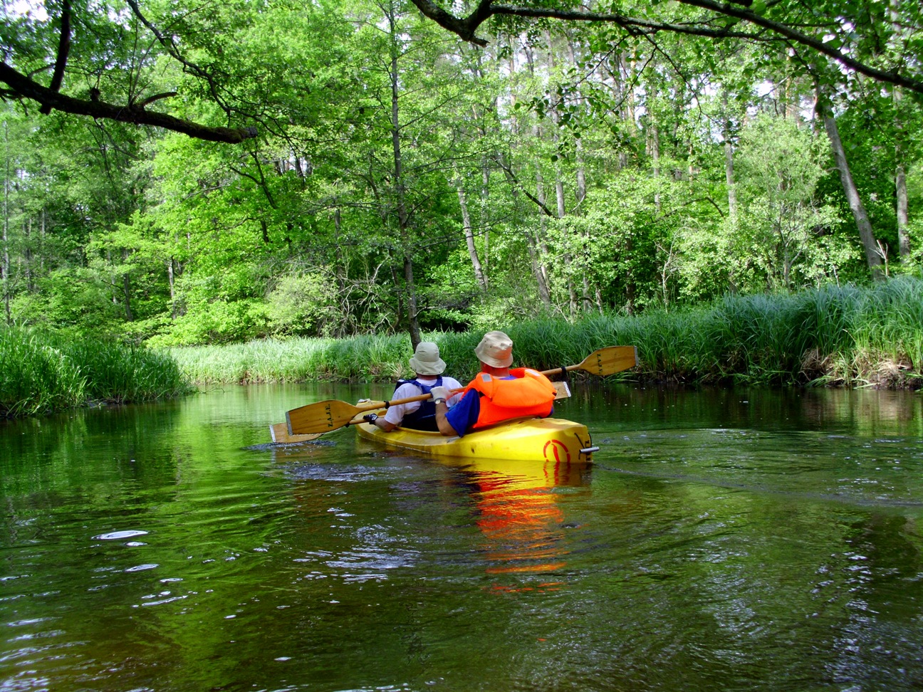 Kayaking on Mysla river