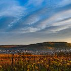 Kayberg Erlenbach bei Heilbronn