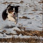 Kayla, nur Fliegen ist schöner!