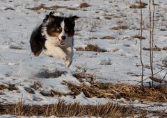 Kayla, nur Fliegen ist schöner!