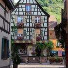 Kaysersberg 2