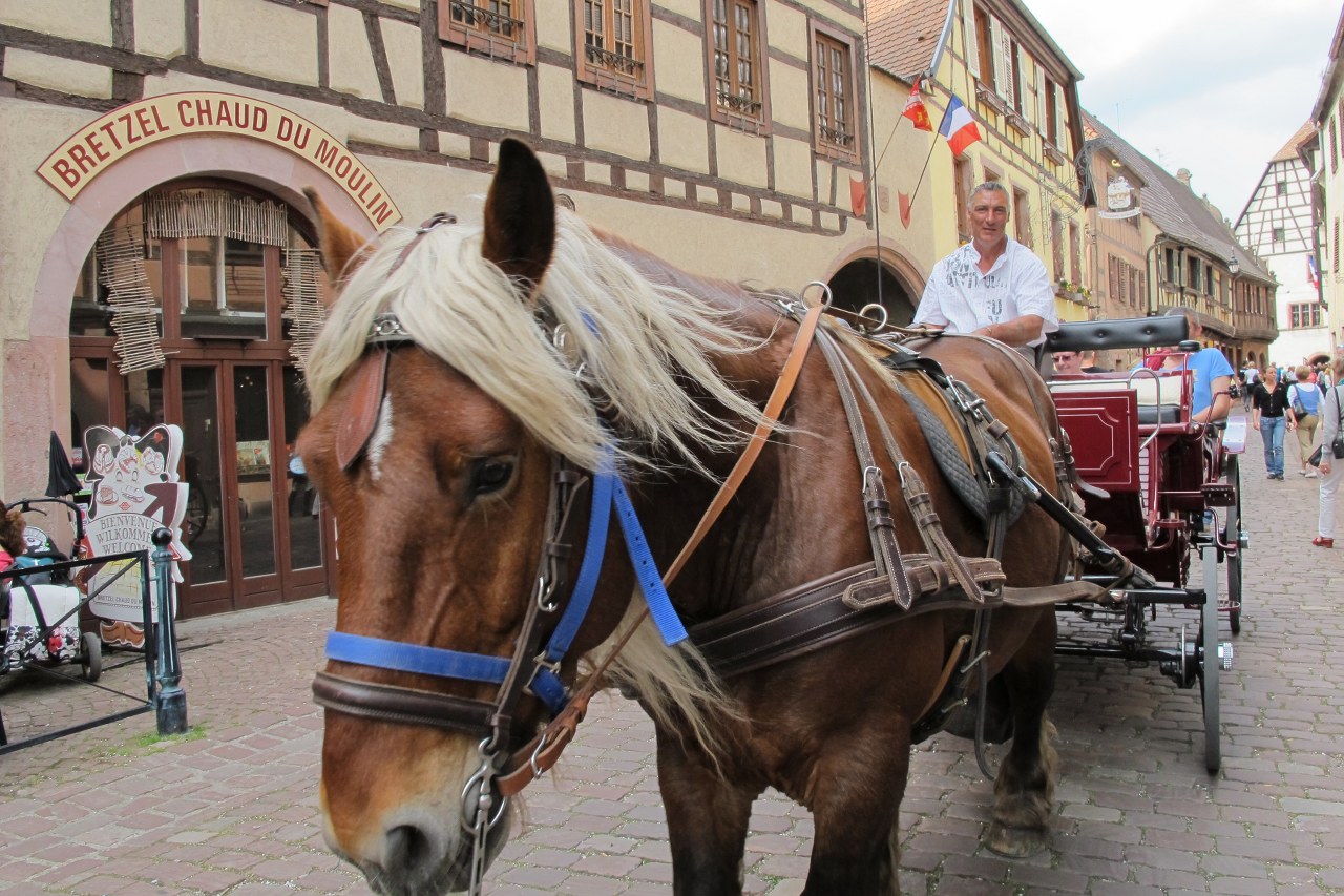 Kaysersberg