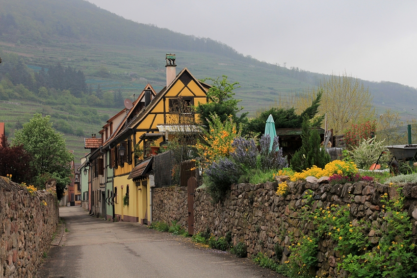 Kaysersberg im Elsass