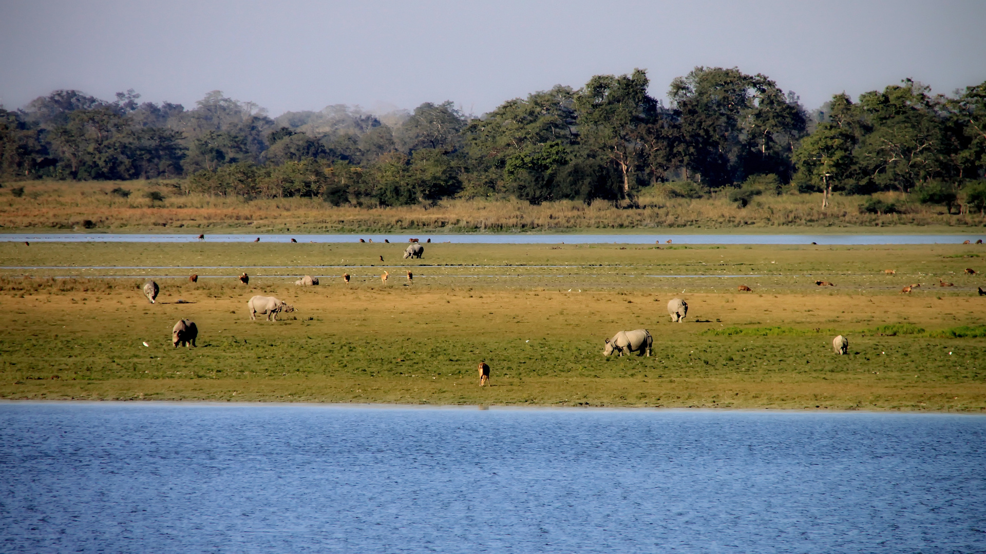 Kaziranga-Nationalpark