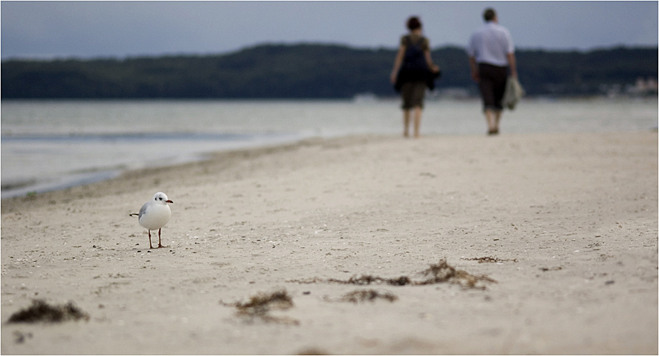 KDF Urlaub 2007 (Prora)