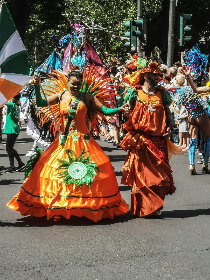 Kdk 2019. Die Blüte