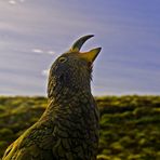 Kea \\