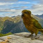 KEA