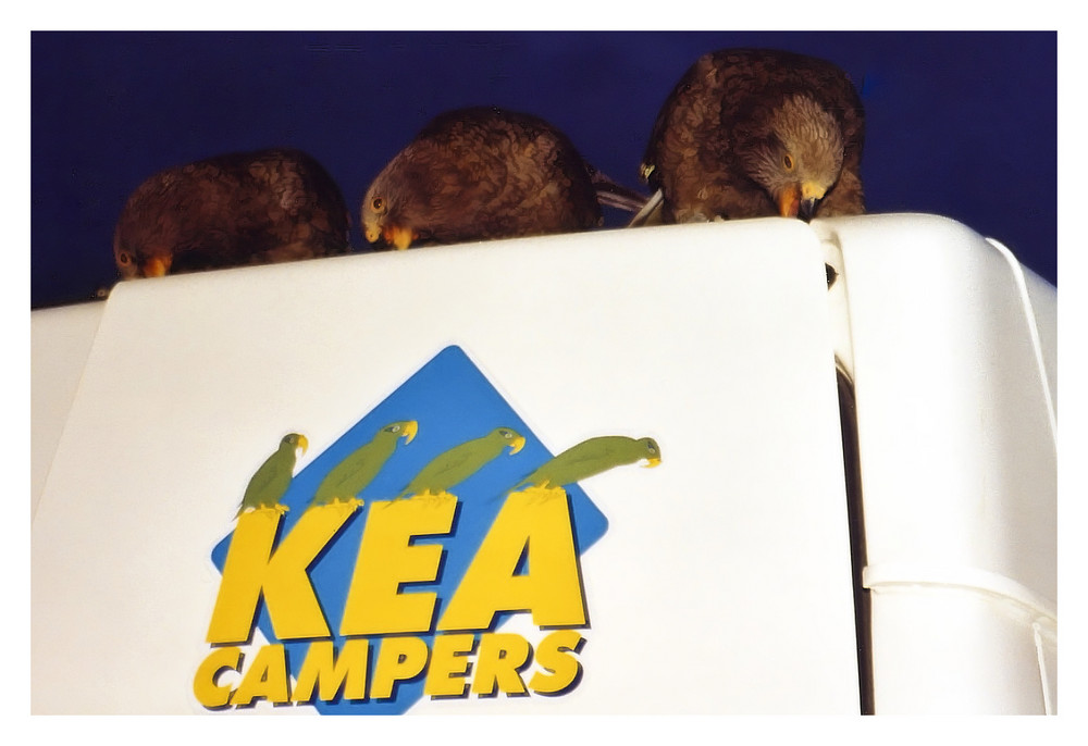 Kea-Camper