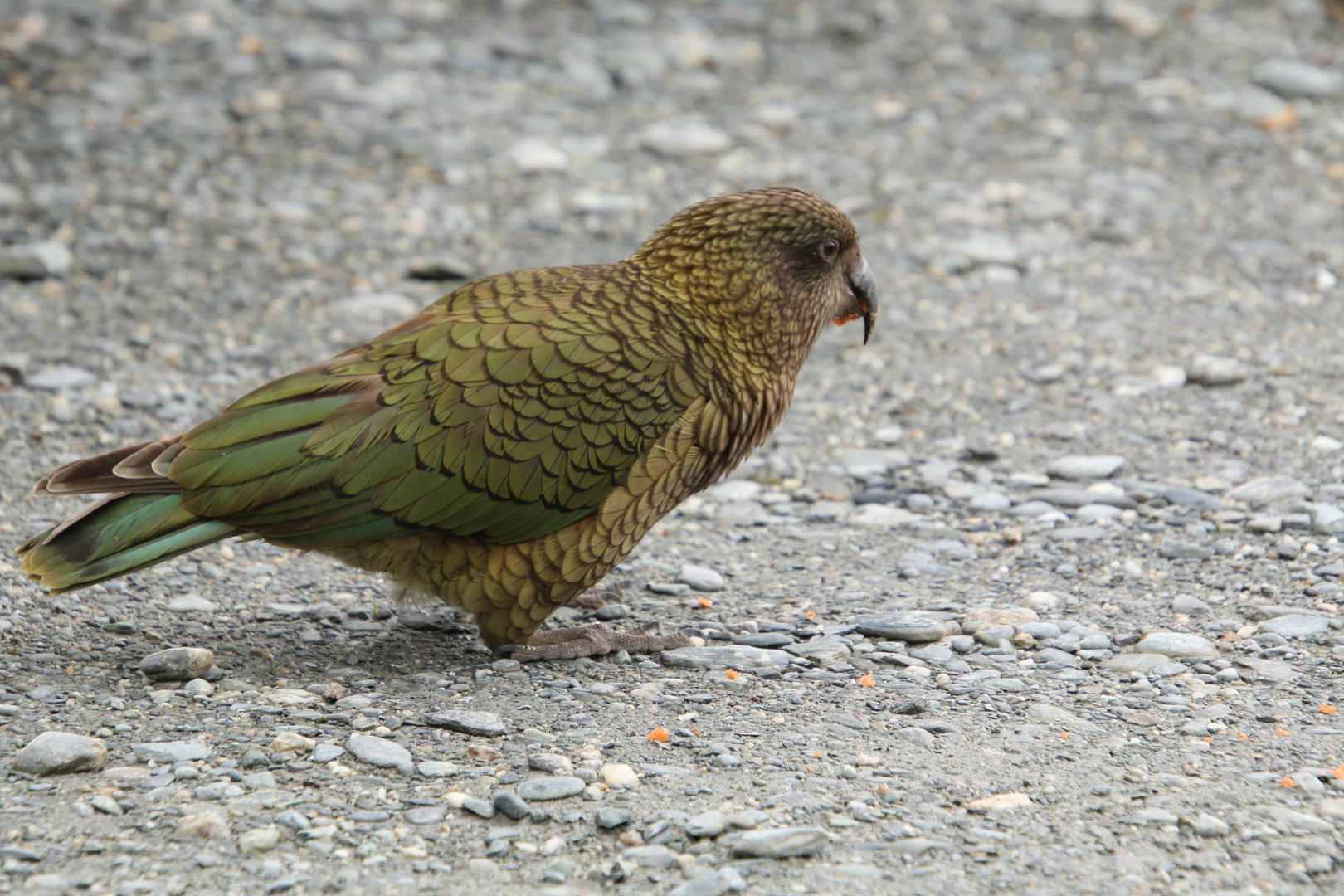 KEA