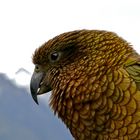 Kea II